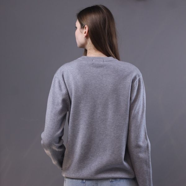 Світшот Polo Ralph Lauren Grey 0507 0507 фото