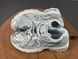 Кросівки New Balance 1906 D Protection Pack Reflective Grey 1430 1430 фото 3