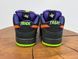 Кросівки Nike Dunk Sb Low Night of mischief 0096 0096 фото 5