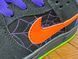 Кросівки Nike Dunk Sb Low Night of mischief 0096 0096 фото 10