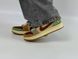 Кросівки Jordan 1 Retro Low OG Zion Williamson Voodoo 0226 фото 12