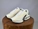 Кросівки Nike Air Max DN Beige/Black 1053 1053 фото 1
