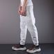 Спортивні штани Nike Paris Grey 1251 1251 фото 3