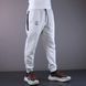 Спортивні штани Nike Paris Grey 1251 1251 фото 2