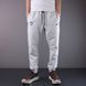 Спортивні штани Nike Paris Grey 1251 1251 фото 1