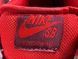 Кросівки Nike Sb Dunk Low Cherry 0223 0223 фото 10