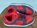 Кросівки Nike Sb Dunk Low Cherry 0223 0223 фото 11