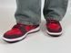Кросівки Nike Sb Dunk Low Cherry 0223 0223 фото 12