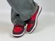 Кросівки Nike Sb Dunk Low Cherry 0223 0223 фото 16